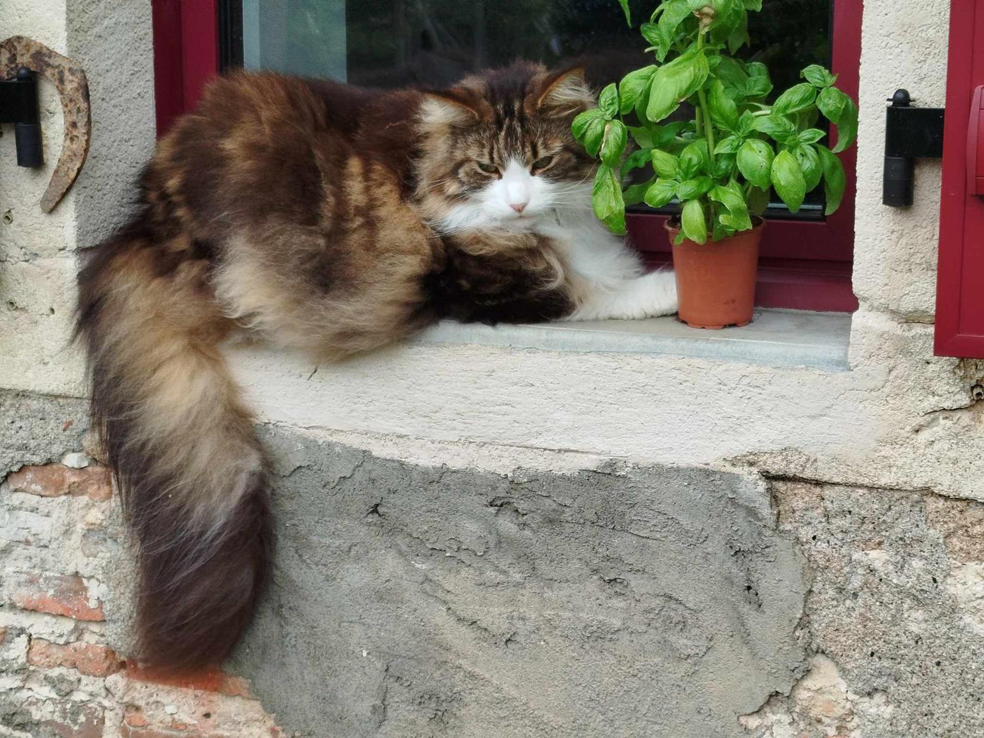 Gite Des Fours Agonges Εξωτερικό φωτογραφία